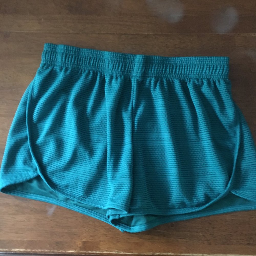 Danskin Now Shorts Green